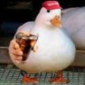 Фото профиля Pato Kremer