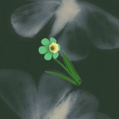 laffodiI's profile picture