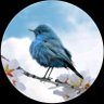 انا اليمني's profile picture