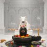 रौद्र's profile picture