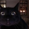 Profilbild von Ange