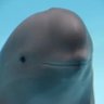 Fabio's profile picture