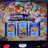 むべ太郎 profil fotoğrafı