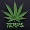 Micky Terp's profile picture
