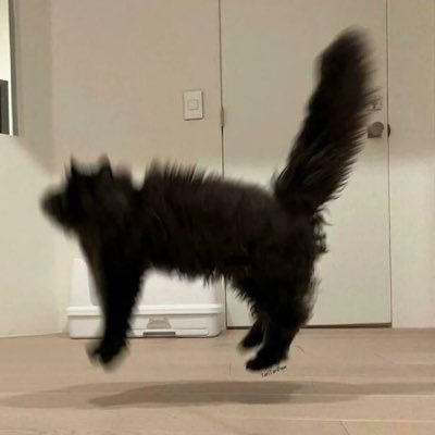soapsoap_oo's profile picture