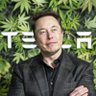 Фото профиля ELON MUSK• •(PARODY) 🚀𝕏