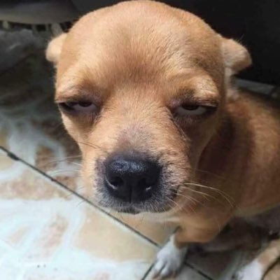 gangzu(소정환존나팬)'s profile picture