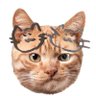 Фото профиля ねむみっく。🐱💤