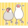 yukiko's profile picture