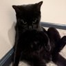 MaeMae's profile picture