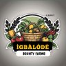 Profilbild von ÌGBÀLÓDÉ BOUNTY FARMS®️🌴