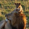 KuT.S profil fotoğrafı