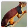 sanamtereq72's profile picture