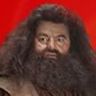 Filip Legueux's profile picture