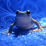 Jinxfrog profil fotoğrafı