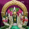 மிஸ்டர் மியாவ்😻 profil fotoğrafı