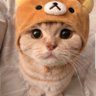 Котик Обормотик 的头像