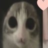 ganyotcu's profile picture