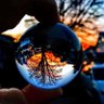 Profilbild von BigBadJohn™️🇺🇸
