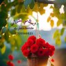 Ahmad@#12345 profil fotoğrafı