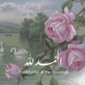 Фото профиля Haneen✨