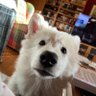 Profilbild von Andrea W.