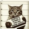Фото профиля Gato Foragido