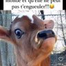 Tonton 972 🇫🇷's profile picture
