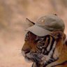 slrwnd profil fotoğrafı
