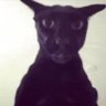 Larry's profile picture