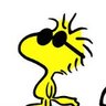 Woodstock's profile picture