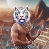 Mete 的头像