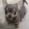Krisco's profile picture