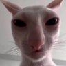 JimmyDaBurgla's profile picture