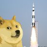 punisheddog🧃 的头像