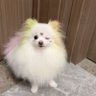 Y(退网版)'s profile picture