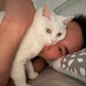 🇨🇳seanyang🏳️‍🌈🌈's profile picture