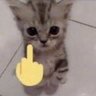 mrwriii 的头像