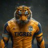 RR Tigre's profile picture