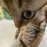 GeneralPleb0__ profil fotoğrafı
