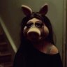 pigeon toes's profile picture