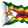 Фото профиля Zim Trend