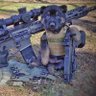 kastrioti83's profile picture