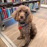 June's profile picture