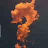 Vitus profil fotoğrafı