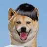 芝犬's profile picture