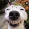 事實vs現實 profil fotoğrafı