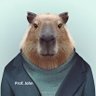 John Capivara 的头像