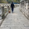 Фото профиля 小马马