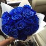Фото профиля Noura